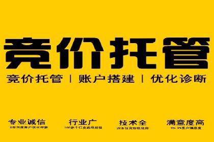 成功案例解读：SEM竞价员如何提高ROI